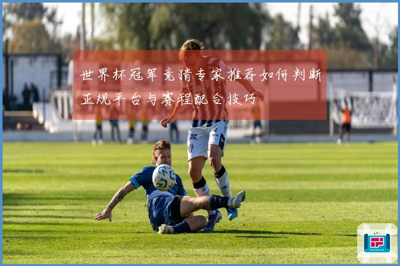 世界杯冠军竞猜专家推荐如何判断正规平台与赛程配合技巧