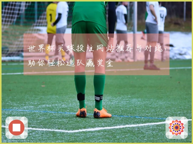 世界杯买球投注网站推荐与对比，助你轻松选队赢奖金
