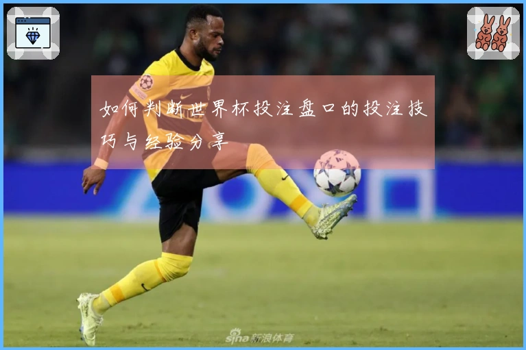 如何判断世界杯投注盘口的投注技巧与经验分享