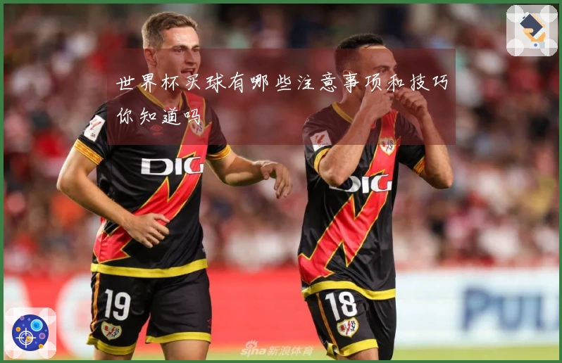 世界杯买球有哪些注意事项和技巧你知道吗