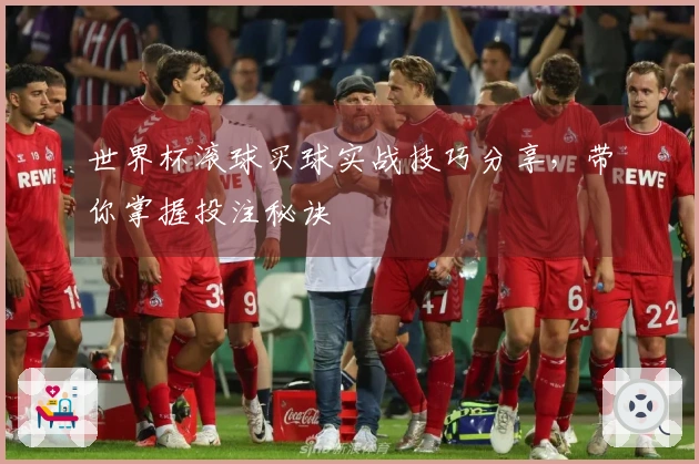 世界杯滚球买球实战技巧分享，带你掌握投注秘诀