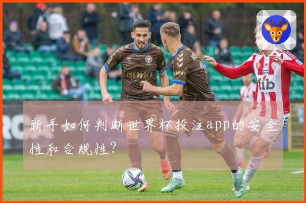 新手如何判断世界杯投注app的安全性和合规性?