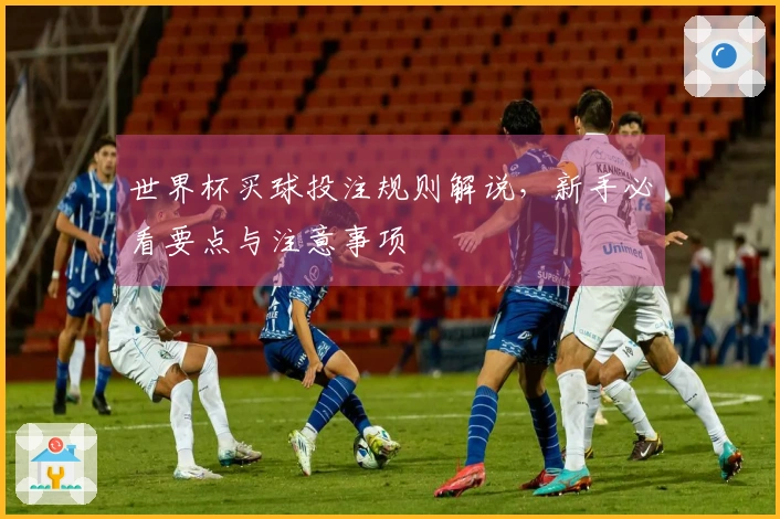 世界杯买球投注规则解说，新手必看要点与注意事项