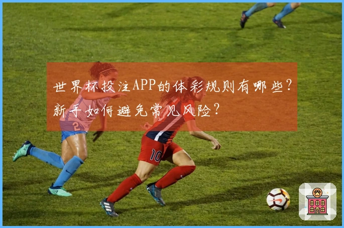 世界杯投注APP的体彩规则有哪些？新手如何避免常见风险？
