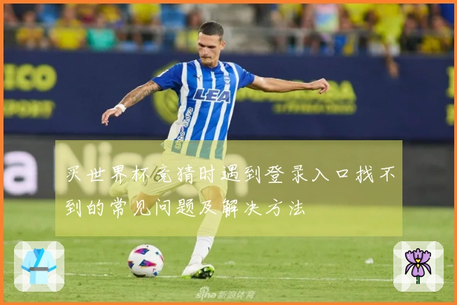 买世界杯竞猜时遇到登录入口找不到的常见问题及解决方法