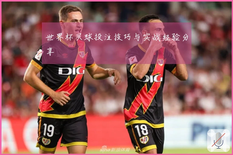 世界杯买球投注技巧与实战经验分享