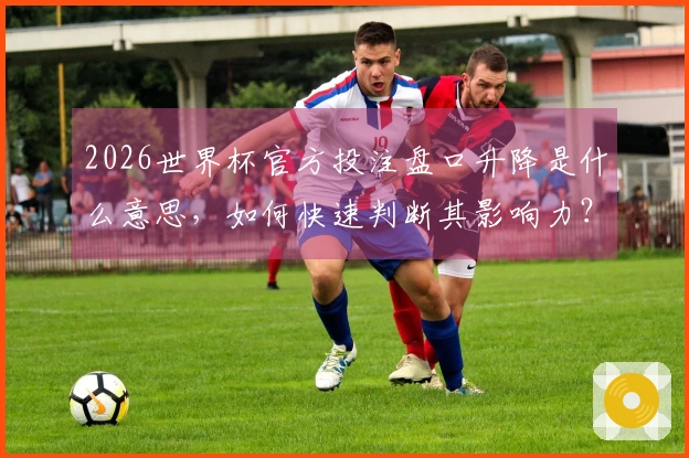 2026世界杯官方投注盘口升降是什么意思，如何快速判断其影响力？