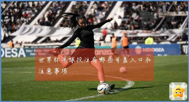世界杯滚球投注有哪些可靠入口和注意事项