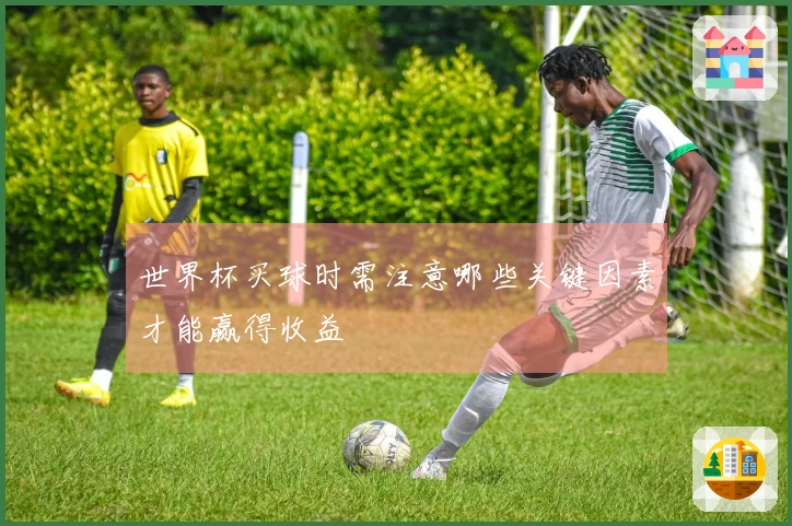 世界杯买球时需注意哪些关键因素才能赢得收益