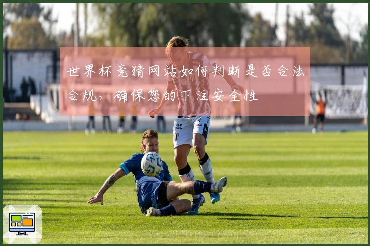 世界杯竞猜网站如何判断是否合法合规，确保您的下注安全性