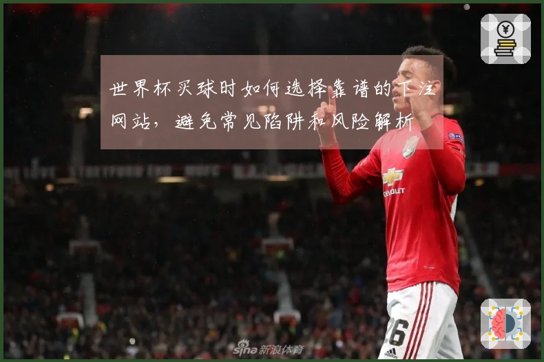 世界杯买球时如何选择靠谱的下注网站，避免常见陷阱和风险解析