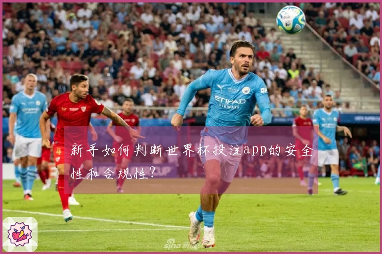 新手如何判断世界杯投注app的安全性和合规性？