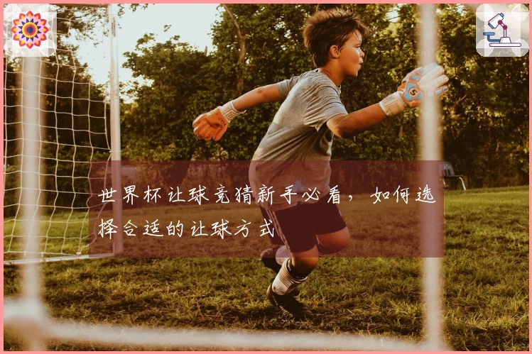 世界杯让球竞猜新手必看，如何选择合适的让球方式