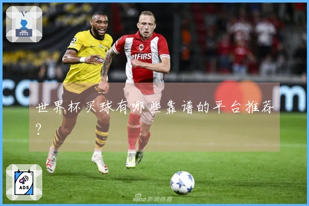 世界杯买球有哪些靠谱的平台推荐？