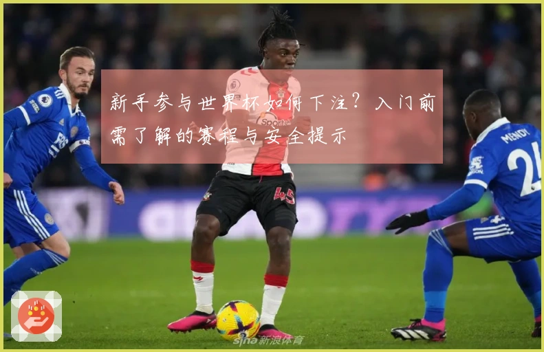 新手参与世界杯如何下注？入门前需了解的赛程与安全提示