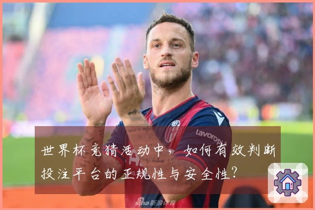 世界杯竞猜活动中，如何有效判断投注平台的正规性与安全性？