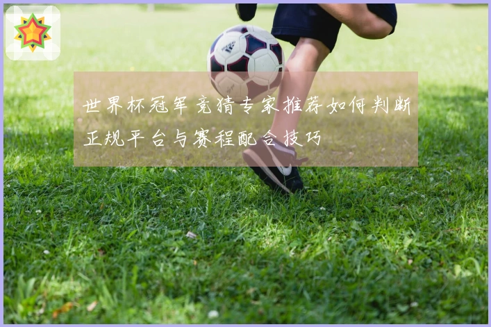 世界杯冠军竞猜专家推荐如何判断正规平台与赛程配合技巧