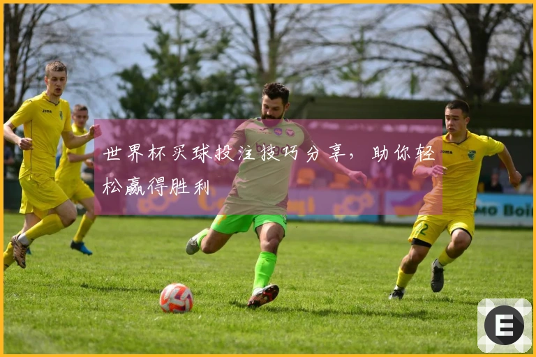世界杯买球投注技巧分享，助你轻松赢得胜利