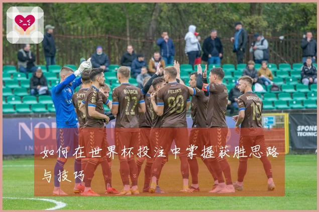 如何在世界杯投注中掌握获胜思路与技巧