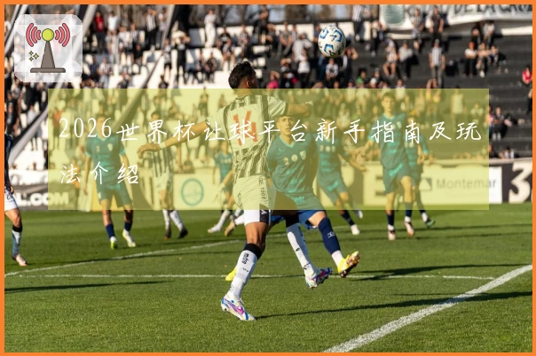 2026世界杯让球平台新手指南及玩法介绍