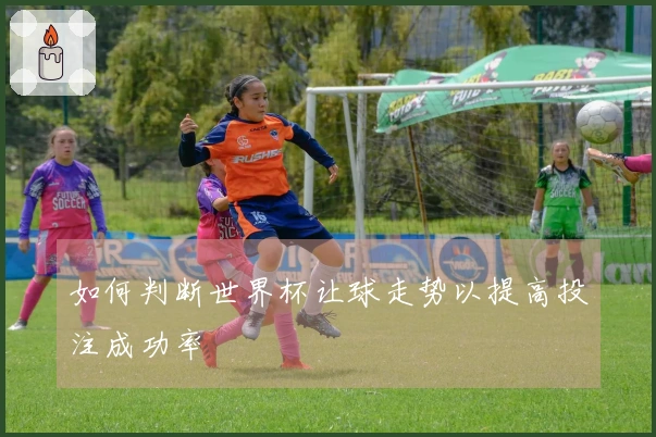 如何判断世界杯让球走势以提高投注成功率