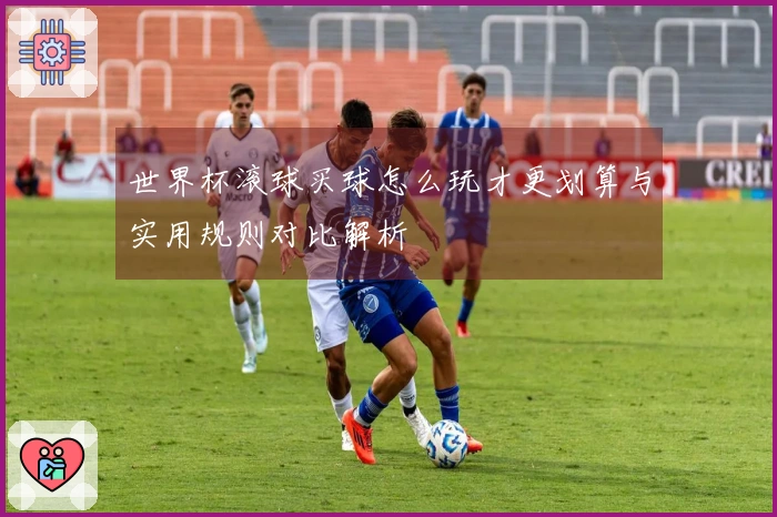 世界杯滚球买球怎么玩才更划算与实用规则对比解析